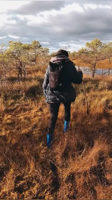 Тайны южной Ельни — 2